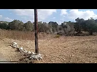 للبيع ارض طرطوس 