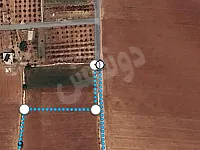 للبيع ارض زراعية استراد حلب دمشق مروراً بحمص النقيرة ارض مثمرة 