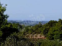 للبيع مزرعة بعد  عن مشقيتا ٧كم 