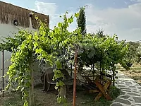 مزرعة ريفية للبيع في اللاذقية بسعر مميز قرب الشاطئ الأزرق