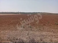 أرض تجارية للبيع تقع على طريق M5  بمساحة 47200 م² بسعر  16.5$للمتر 