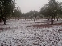 للبيع مزرعه ريف دمشق الديماس خلف جمعية الشيخ زايد تجهيز ممتاز 