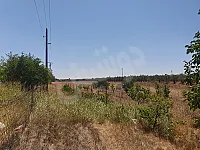 للبيع أرض زراعية 3 دونمات في مركز القصير بسعر 26,400 دولار