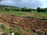 للبيع ارض زراعية ٤٧٠٠ متر مربع 