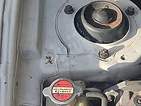 سنتافي 2004 قصة