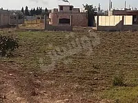 أرض زراعية للبيع في بابا عمرو - 3500 م² - طابو نظامي