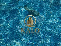 فلل للبيع في بابا عمرو، مركز حمص - 1000 م²، 2 غرفة