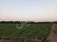 أرض زراعية للبيع في مركز الرقة - 5 م² بسعر 0 ل.س