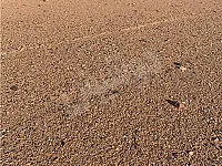 ارض زراعية طابو اخضر مساحة 18 قصبة  درايا الشرقية قرب جامع السلام 