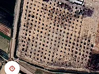 أرض واسعة 18 دونم للبيع في الصالحية، الرقة - فرصة استثمارية