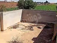 ارض زراعيه واجهتا علا طريق عام واخر الارض طريق عام