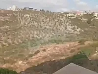 شقة للبيع في صافيتا، 154 م²، 3 غرف، مفروشة، بسعر مييز للبيع الضروري 