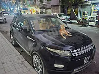 رينج روفر ايفوك 2013 أسود للبيع 