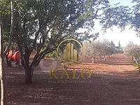 للبيع أرض 6000 م² بكفرعايا قرب مدرسة الأمل