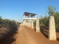 مزرعة للبيع بالخوالبي 37 دونم مع بناء كامل