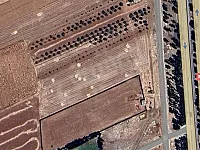 للبيع ارض على طريق حماه حمص على الاستراد مباشرة مساحة ٨دنم