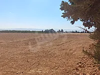 للبيع ارض زراعية على طريق القصير عرجون