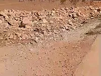 بيع أرض زراعية بمساحة 110000 م² في الرقاما - حمص