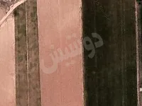 للبيع ارض زراعية مساحة 11دونم في ريف القصير   الجوادية 