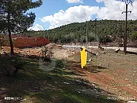 أرض زراعية للبيع في الديماس، ريف دمشق - 620 م²