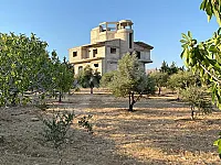 مزرعة ٨ دونم للبيع على طريق صيدنايا بسعر مغري