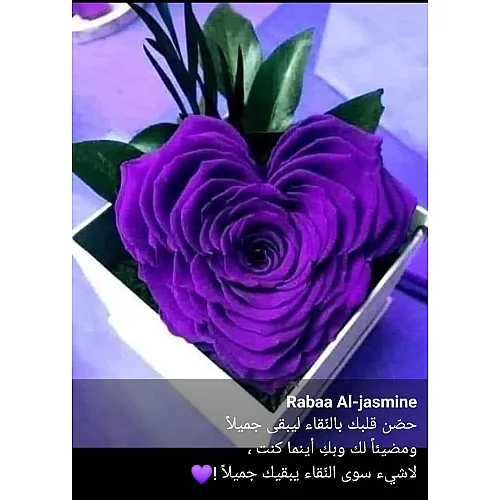 رابعه أم محمد