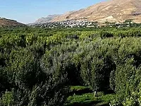 للبيع مزرعة علعضم 