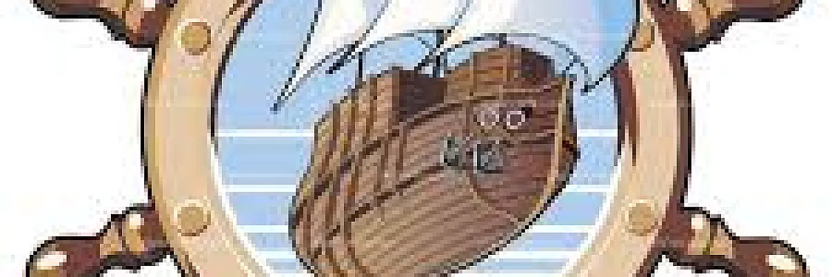 انور بصو  Cover