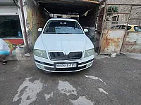 كتافيا الكانس