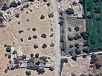 أرض زراعية للبيع في برزة البلد، دمشق - 1350 م²
