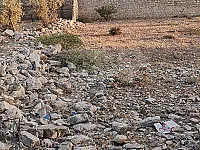 للبيع أرض بكفر حمرة شارع الأندلس مساحة ٣٠٠٠ م مسورة المتر ١١٠ دولار