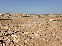 أرض زراعية صخرية مساحتها ٤٥٠ متر مربع مناسبة للزيتون