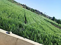 أرض زراعية للبيع في عين ترما  - 3500 م²