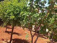 فيلا للبيع في منشبة خان الشيح- مساحة 1150م² وتصميم عصري