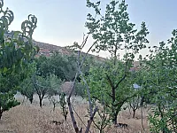 أرض زراعية مسجّلة للبيع في الزبداني بسعر 40,000 دولار