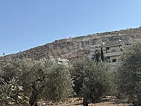 أرض صناعية للبيع في أريحا بسعر 150$ للمتر