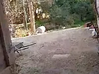 شارع رئيسي جسر كباس مع واجهة محلات محل مغسل واجهته 7 امتار و 4 محلات