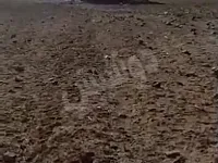 أرض زراعية للبيع في الحرجلة - 2 دنم بسعر 200 مليون ل.س