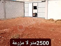 أرض لا مزرعة بين فيروزة وزيدل