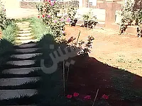 مزرعة شرق حمص بين فيروزة وزيدل