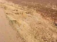 أرض زراعية للبيع في تلبيسة، ٧ دلم بسعر ٩٥٠٠$ للدلم