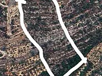 للبيع ارض بريف دريكيش ٨ دونم