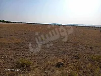 للبيع أرض زراعية في السلمية، 19.2 دونم بسعر 18,000$