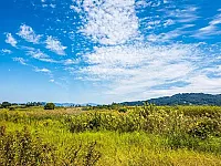 ارض سكنية في حلب - خان العسل 