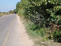 للبيع دونم و250مترشمال اللاذقية عطريق لقصر مباشر