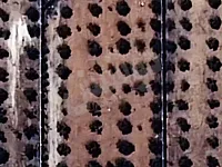 أرض زراعية للبيع في ديرقاق، حلب - 3855 م² بسعر مغري