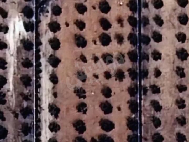 أرض زراعية للبيع في ديرقاق، حلب - 3855 م² بسعر مغري