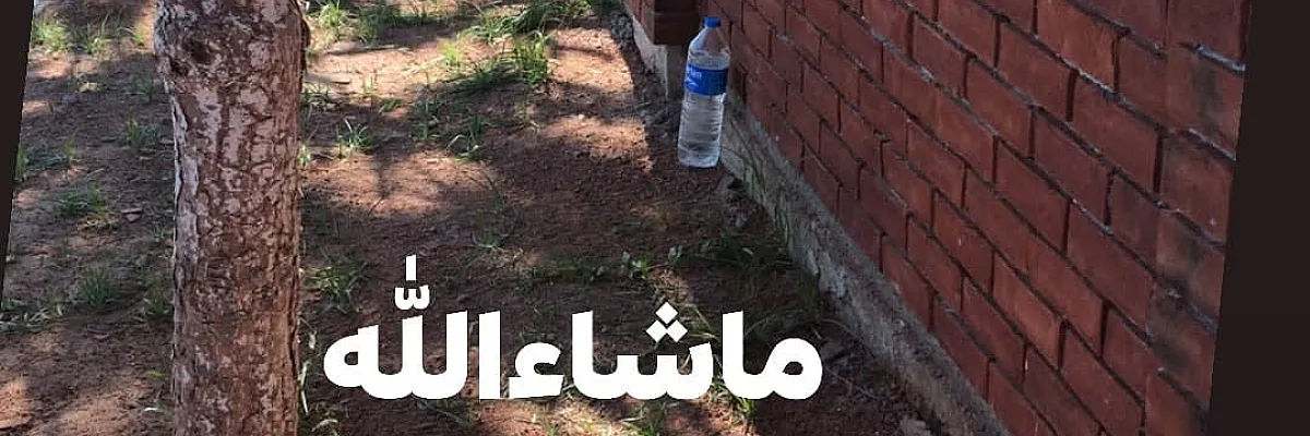 ابو محمد Cover