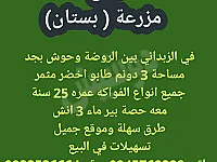 بستان مثمر للبيع في الزبداني - 3000 م² بساتين فاكهة متنوعة