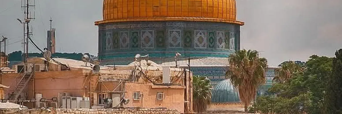 صالح ذيبان Cover